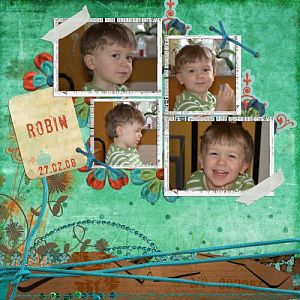 Robin