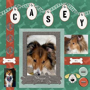 Casey Boy