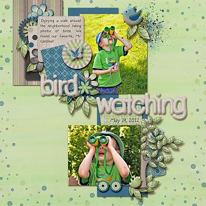 Bird Watching