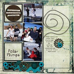 Polar Plunge