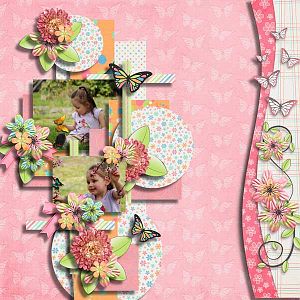 Butterflies are free