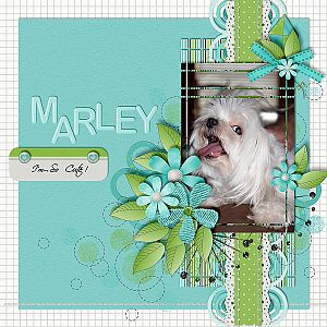 Marley