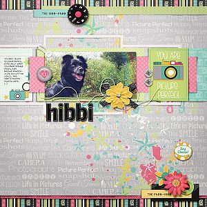 hibbi