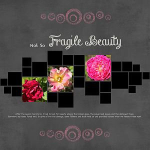 Fragile Beauty