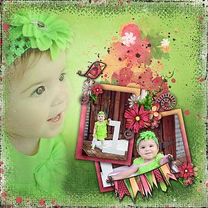 Lolly Bags