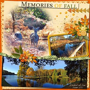 Memories of Fall