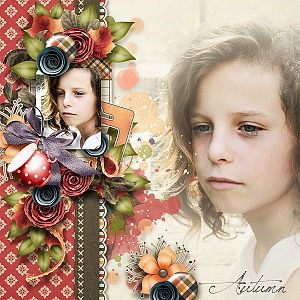 Settling in to Autumn