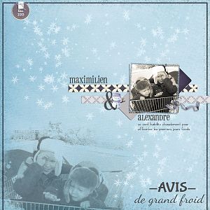 Avis de grand froid