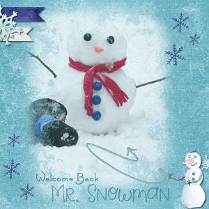 Mr. Snowman