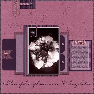 Purple Flowers & Lights
