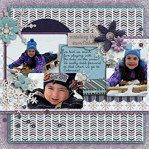 Watching the Snowflakes