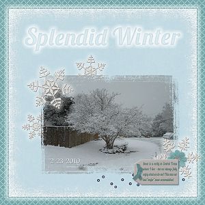 Splendid Winter