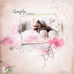 Gentle As A Feather