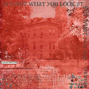 What You Look At