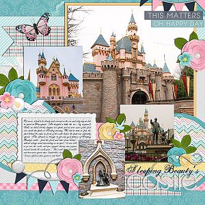 Sleeping Beauty's Castle