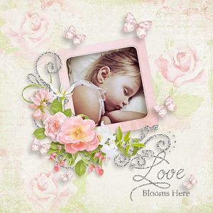 Love Blooms Here