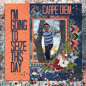 Carpe-Diem-The-Whole-Shebang1