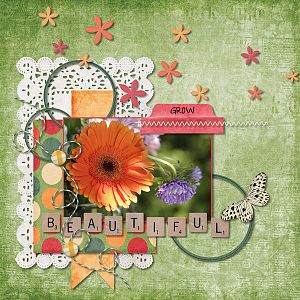 Darla's Garden