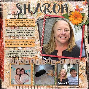 cbj_aboutme-template