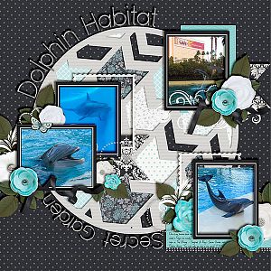 Dolphin Habitat