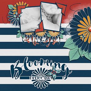 Paty Greif - Blooming Everyday