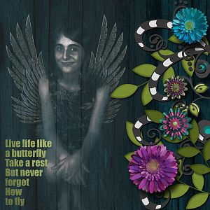 Use Your Wings