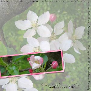 scraplift-may