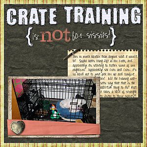 Crate Training