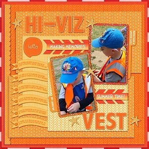 Hi-Viz Vest