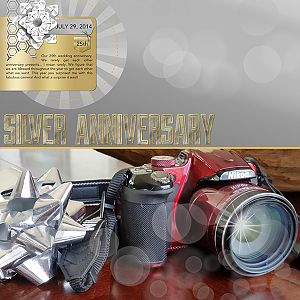 Silver Anniversary