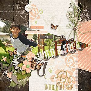 wild n free