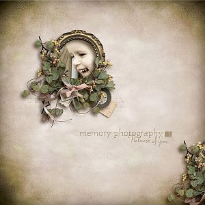 Memory photography