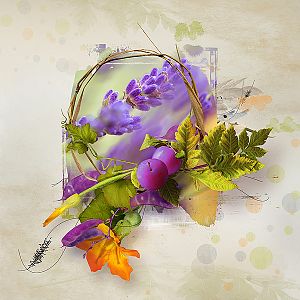 Lavender