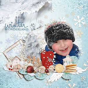 Winter Wonderland - February 2015
