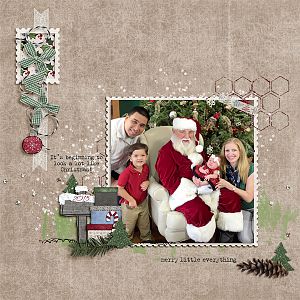 Family Photos with Santa 2015