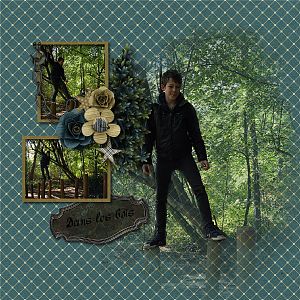 In the wood