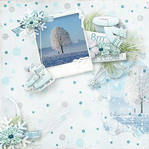 Winter land