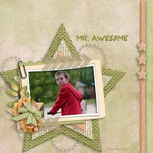 Mr. Awesome