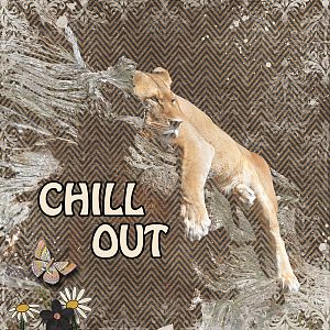 Chill Out