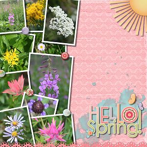 Hello Spring