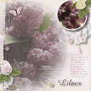 Lilacs