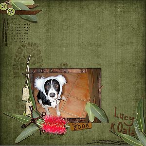 Lucy Koala