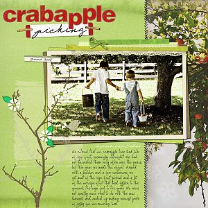 Crabapple Picking