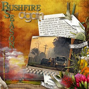 Bushfire Season