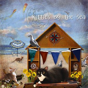 Kitties by the Sea