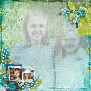 aqua-shades-vero-HSA-white-