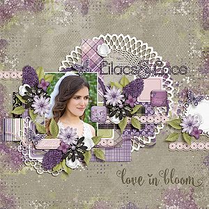 Lilacs and Lace