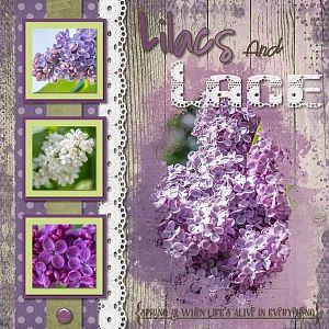 Lilacs and Lace Again