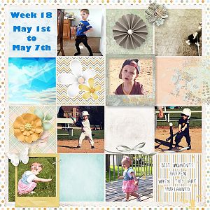 Project Life Week 18