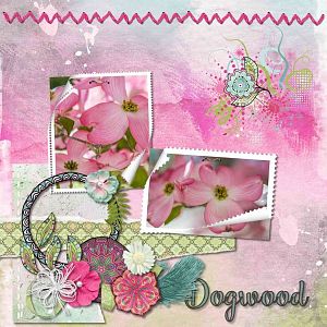 Dogwood